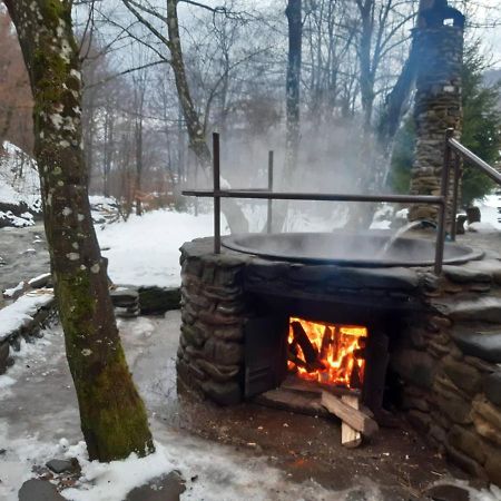 Хатина біля потока Villa Ламшори Екстериор снимка