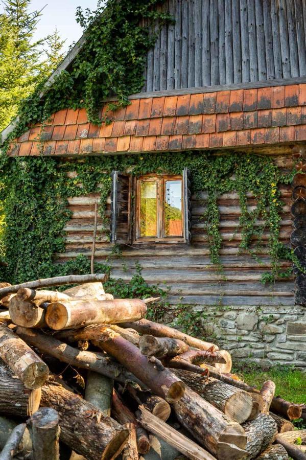 Хатина біля потока Villa Ламшори Екстериор снимка